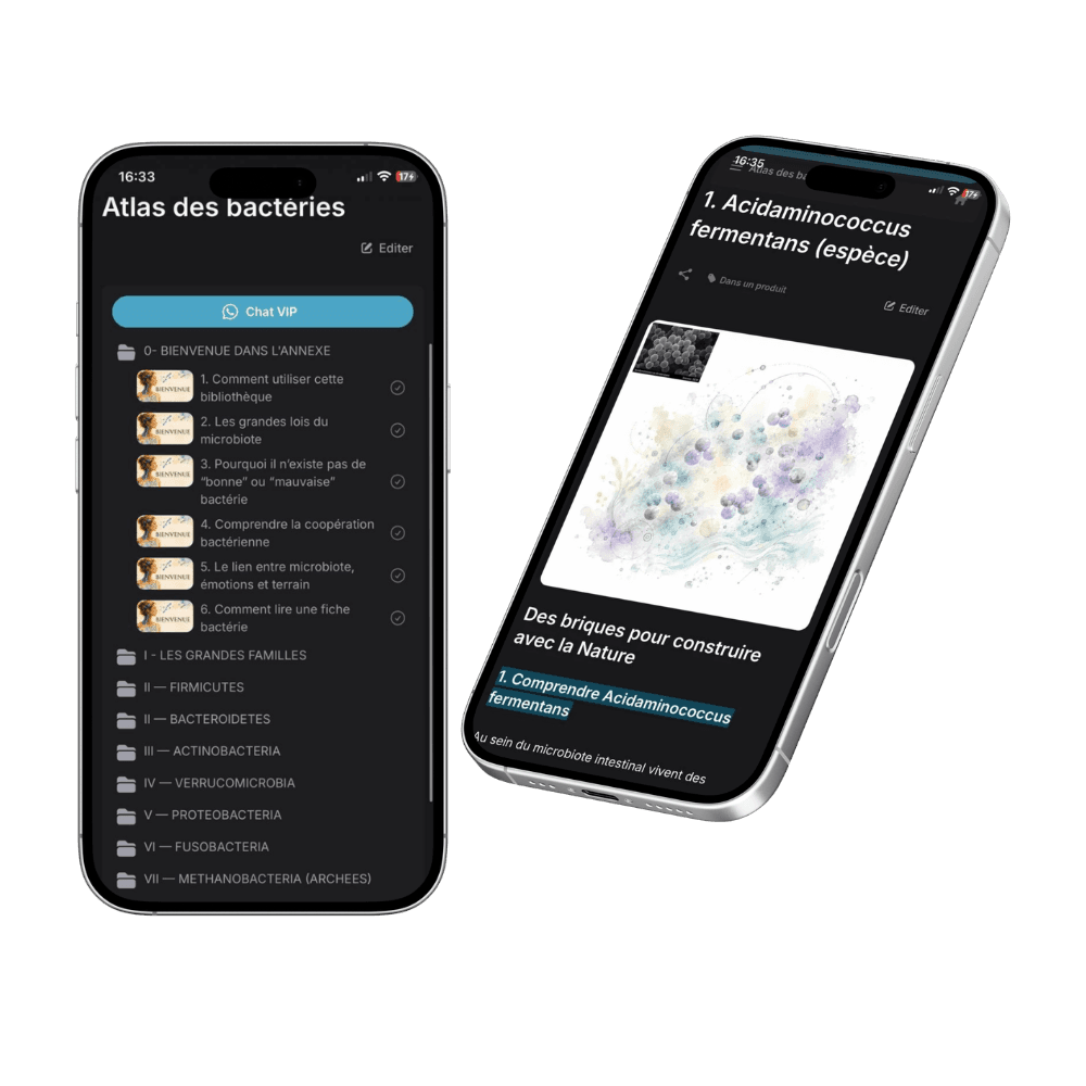 Interface premium de l'Atlas Vivant du Microbiote, présentant les familles bactériennes et des fiches détaillées
